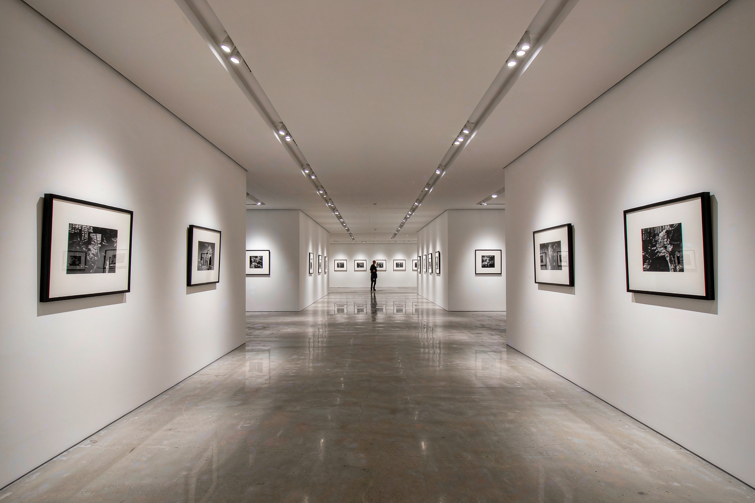 Gallery — full scene with track lighting